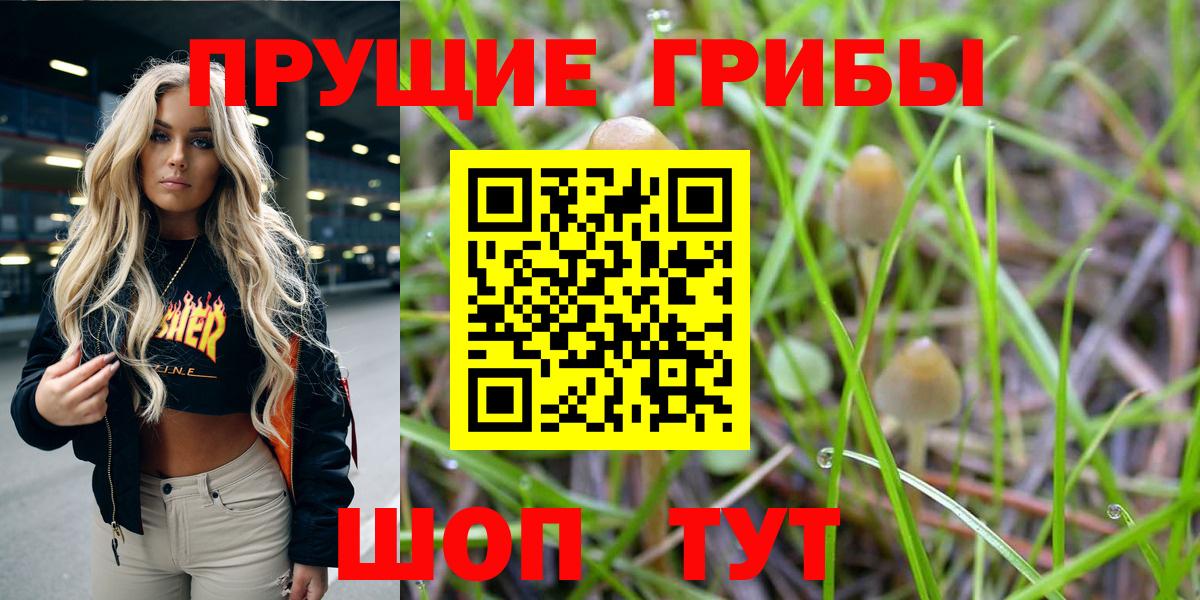 Галлюциногенные грибы мухоморы Донецк